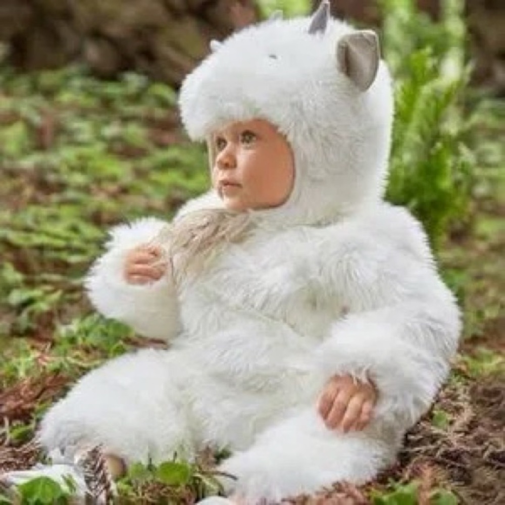 Pottery Barn Billy Goat Costume 6-12 Months